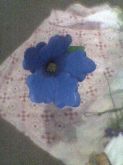 FLORES UNI.