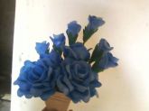 ROSA AZUL