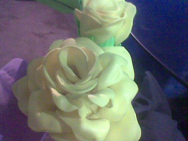 ROSA AMARELA